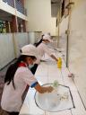 ve sinh 2.jpg - 