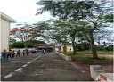 đón học sinh trở lại5.png - 