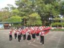 IMG_1337 (500 x 375) - IMG_1337 (500 x 375).jpg